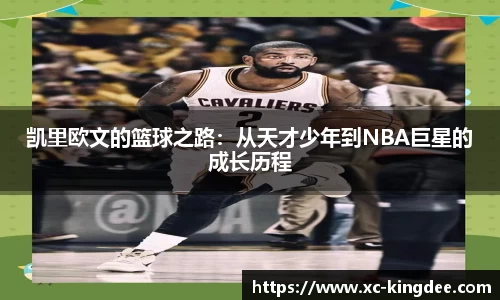 龙8官网