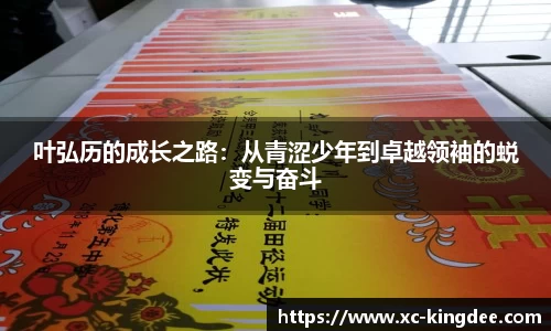 long8唯一官网登录